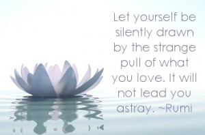 Let yourself be silently drawn by the strange pull of what you love. It will not lead you astray. Rumi